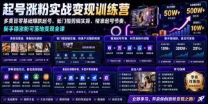 苗子起号涨粉实战变现训练营，多类目零基础爆款起号、精准起号节奏、新手稳涨粉可落地变现全课-晓懂云创