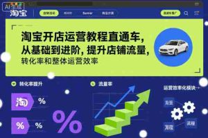 淘宝开店运营教程直通车,从基础到进阶,提升店铺流量,转化率和整体运营效率(更新26年07月11日)-晓懂云创