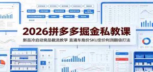 2026拼多多掘金私教课:新品冷启动竞品截流教学,直通车拖价SKU定价利润翻倍打法-晓懂云创