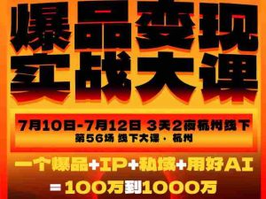 爆品变现实战大课,从爆品,到流量,到成交,一个爆品+IP+私域+用好AI=100W到1000W(7月10-12日)-晓懂云创