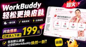 WorkBuddy轻松更换皮肤，199元闲鱼上已经不少人下了单！情绪价值拉满，WorkBuddy Theme Manager-晓懂云创
