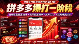 拼多多打爆班原创技术第61期,拼多多爆打一阶段,自动化起量全玩法・软件批量操作・投产优化・大促矩阵实战课-晓懂云创