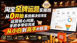 淘宝金牌运营实操班,从0开始系统解决你淘宝运营核心问题,手把手带你完成从小白到高手的蜕变(2026年7月)-晓懂云创