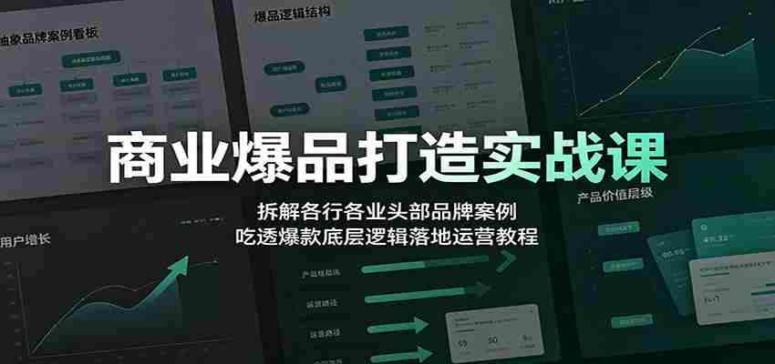 商业爆品打造实战课:拆解各行各业头部品牌案例,吃透爆款底层逻辑落地运营教程-晓懂云创