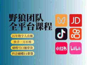 野狼团队2026新版全平台短视频带货教学,打开流量突破口,开始Ai带货(更新0724)-晓懂云创