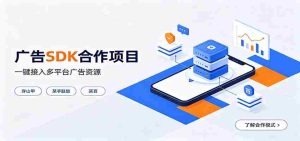 对接穿山甲、某手联盟、某百等平台的广告。SDK模式,一台设备日收益200+-晓懂云创