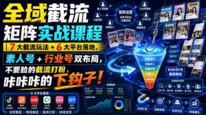 全域截流矩阵实战课程|7大截流玩法+6大平台落地,素人号+行业号双布局,不要脸的截流打粉,咔咔咔的下钩子!-晓懂云创