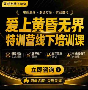 爱上黄昏无界特训营AI推广实战7月27-30杭州线下课,AI落地淘宝最完整的课程,学天猫淘宝的老板必看-晓懂云创