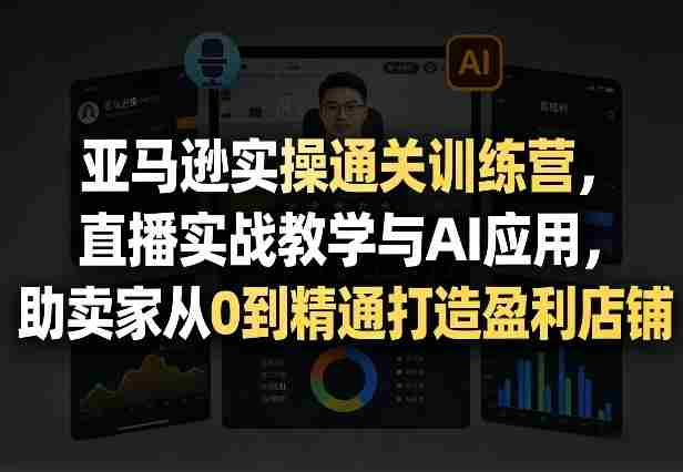 亚马逊实操通关训练营,直播实战教学与AI应用,助卖家从0到精通打造盈利店铺(更新8月8日)-晓懂云创