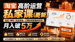 (19726期)淘宝高阶运营私家课(更新26年):选品、爆款、全店动销,三模块构建盈利闭环,月入破5万-晓懂云创