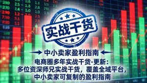 (19761期)电商圈多年实战干货-更新2026:多位资深师兄实战干货/覆盖全域平台,中小卖家可复制的盈利指南-晓懂云创