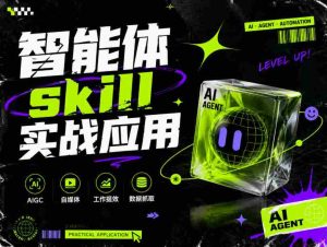 智能体skill实战应用，为寻求利用智能体进行工作提效的人打造，案例演示，纯实战课-晓懂云创