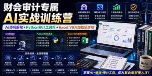 财会审计专属AI实战训练营|AI协同编程+Python审计工具箱+Excel VBA加载项落地(更新0816)-晓懂云创