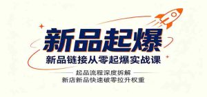新品链接从零起爆实战课:起品流程深度拆解,新店新品快速破零拉升权重-晓懂云创