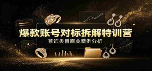 爆款账号对标拆解特训营:首饰类目商业案例分析,配套完整资料内容-晓懂云创
