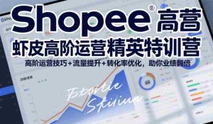 Shopee虾皮高阶运营精英特训营,高阶运营技巧+流量提升+转化率优化,助你业绩翻倍(更新26年7月)-晓懂云创