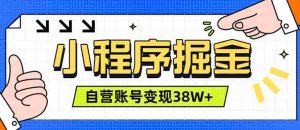 微信小程序掘金,团队自营小程序累计变现38W+,稳定运营三年,一部手机即可操作【揭秘】-晓懂云创