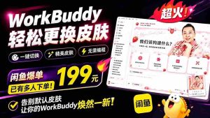 （19424期）WorkBuddy轻松更换皮肤，199元闲鱼上已经不少人下了单！情绪价值拉满，WorkBuddy Theme Manager-晓懂云创