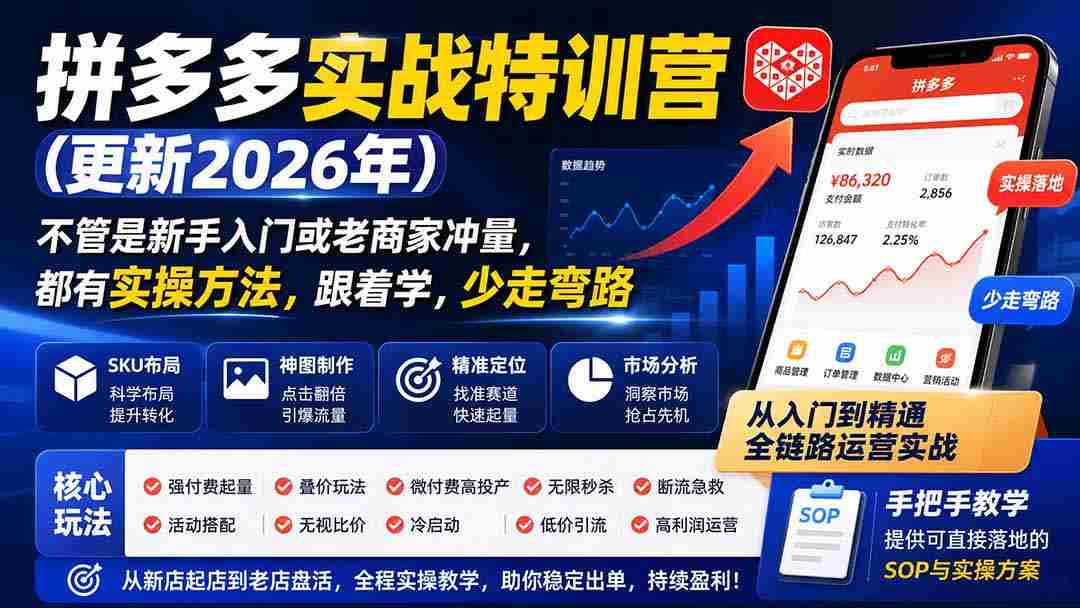 (19988期)拼多多实战特训营(更新26年0821):不管是新手入门或老商家冲量,都有实操方法,跟着学,少走弯路-晓懂云创