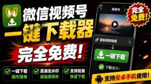 手机端也可下载微信视频号了?完全免费使用,一键解析视频号原视频和封面视频号下载助手v1.1-晓懂云创