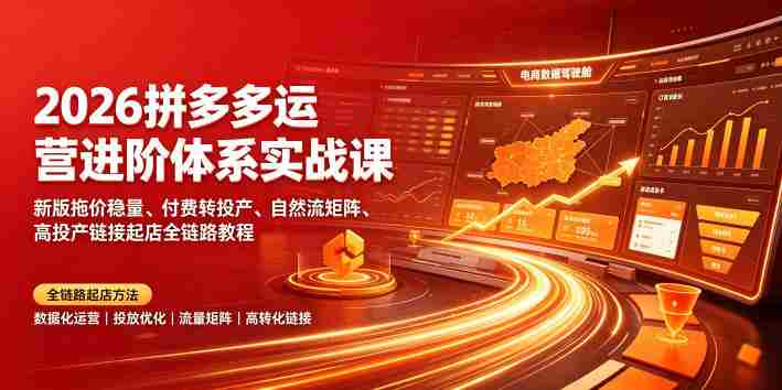 2026拼多多运营进阶体系实战课|新版拖价稳量、付费转投产、自然流矩阵、高投产链接起店全链路教程-晓懂云创