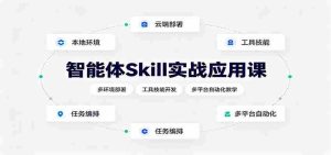 智能体Skill实战应用课:多环境部署,工具技能开发,多平台自动化教学-晓懂云创