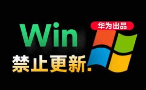 (19151期)Win10/11系统永久禁止更新!华为出品小工具,避免频繁更新Win系统出问题,电脑必备工具Win系统禁止更新-晓懂云创