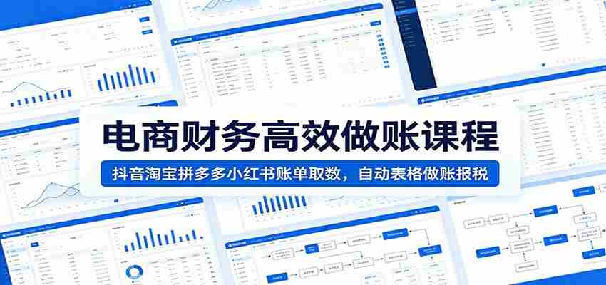 电商财务高效做账课程:抖音淘宝拼多多小红书账单取数,自动表格做账报税-晓懂云创