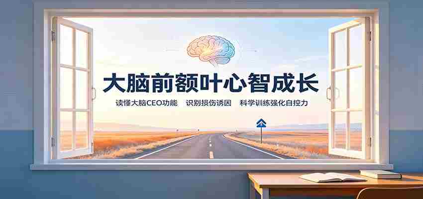 大脑前额叶心智成长:读懂大脑CEO功能,识别损伤诱因,科学训练强化自控力-晓懂云创