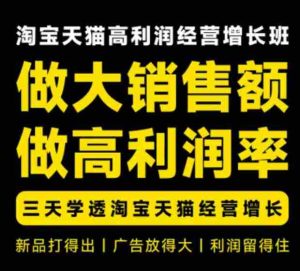 天猫淘宝高利润经营增长班杭州线下课31期8月22-24日,做大销售额做高利润率,三天学透淘宝天猫经营增长-晓懂云创