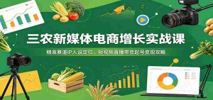 三农新媒体电商增长实战课:精准赛道IP人设定位,短视频直播带货起号变现攻略-晓懂云创