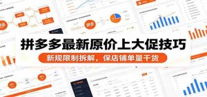 拼多多最新原价上大促技巧:新规限制拆解,保店铺单量干货-晓懂云创