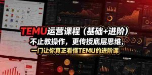 TEMU运营课程(基础+进阶),不止教操作,更传授底层思维,一门让你真正看懂TEMU的进阶课-晓懂云创