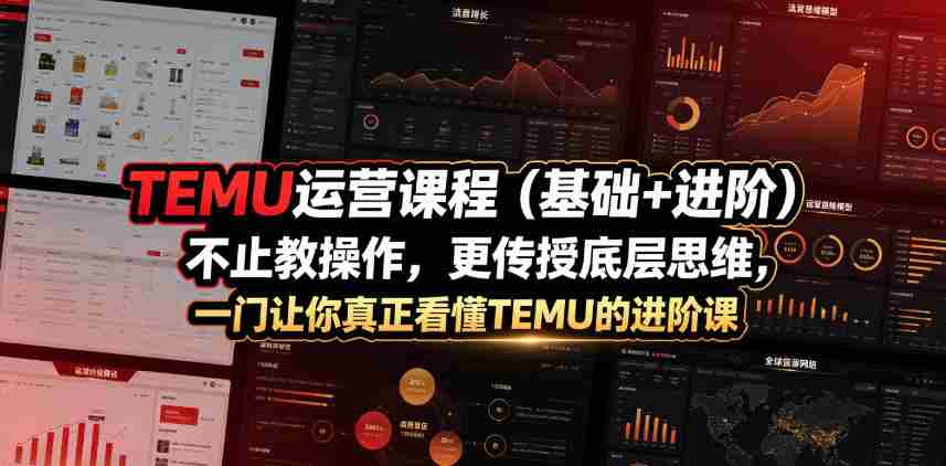 TEMU运营课程(基础+进阶),不止教操作,更传授底层思维,一门让你真正看懂TEMU的进阶课-晓懂云创