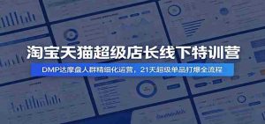 淘宝天猫超级店长线下特训营:DMP达摩盘人群精细化运营,21天超级单品打爆全流程-晓懂云创
