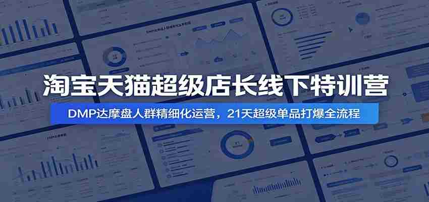 淘宝天猫超级店长线下特训营:DMP达摩盘人群精细化运营,21天超级单品打爆全流程-晓懂云创