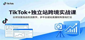 TikTok+独立站跨境实战课:全球流量选品投流教学,多平台建站直播矩阵落地打法-晓懂云创