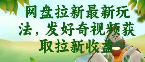 网盘拉新最新玩法,发好奇视频获取拉新收益,抖音收藏家玩法-晓懂云创