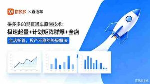（18921期）拼多多60期直通车原创技术：极速起量+计划矩阵群爆+全店托管，投产不稳的终极解法-晓懂云创