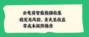 云电商智能数据收集，稳定无风控，当天做当天见收益，零成本矩阵操作【揭秘】-晓懂云创