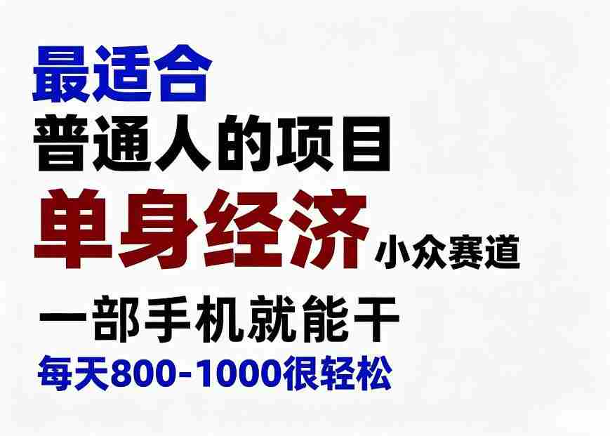 身经济小众赛道,一部手机就能干,每天搞个800-1000很轻松,最适合普通人的项目【揭秘】-晓懂云创