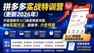 (20280期)拼多多实战特训营(更新26年9月):不管是新手入门或老商家冲量,都有实操方法,跟着学,少走弯路-晓懂云创