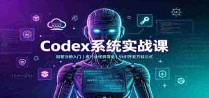 Codex系统实战课：部署注册入门，多行业任务落地，Skill开发万能公式-晓懂云创
