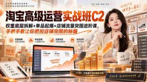 淘宝高级运营实战班C2|权重底层拆解+单品起爆+店铺流量突围进阶课,手把手教让你把控店铺突围的秘籍-晓懂云创