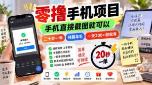 零撸手机项目，手机直接截图就可以，二十秒一单，纯薅羊毛，一天200+做就有【揭秘】-晓懂云创